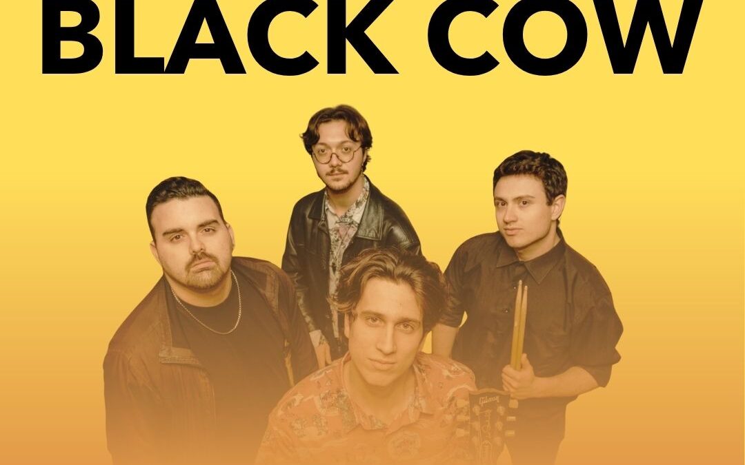 Black Cow